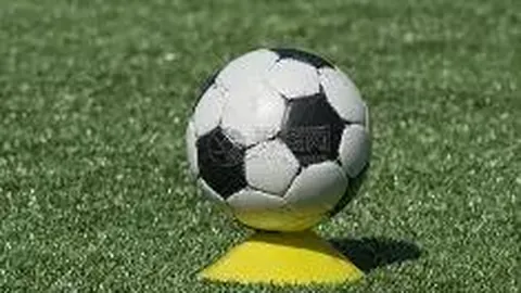 Pinbo拼搏体育官网