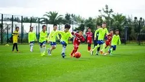 Pinbo拼搏体育官网 产品 121508 dv3