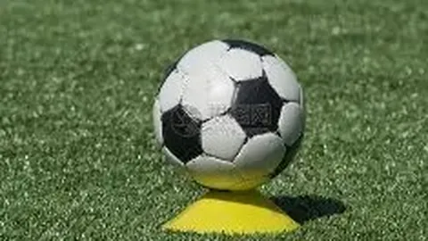 Pinbo拼搏体育官网 产品 103552 zmf